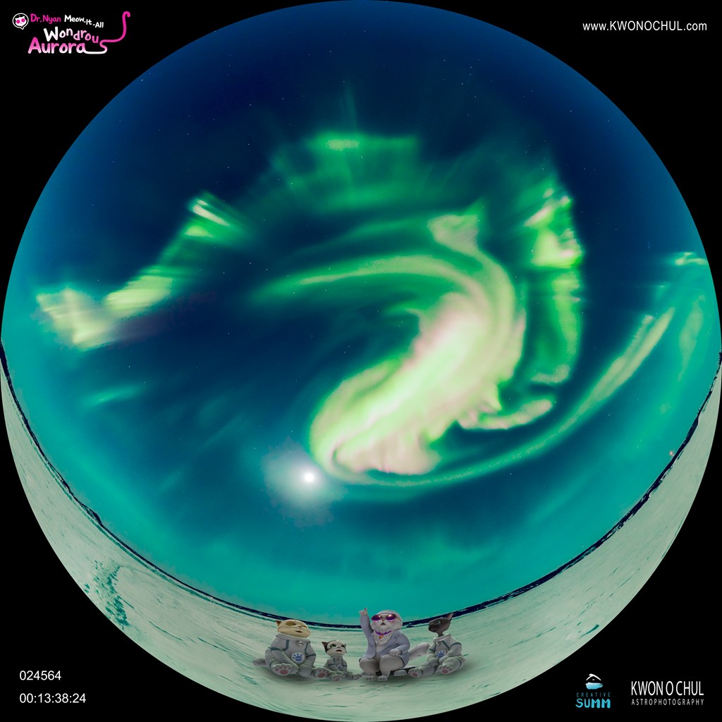 ドクターニャンはものしり博士２