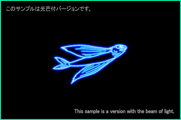 Volans constellation picture Type B