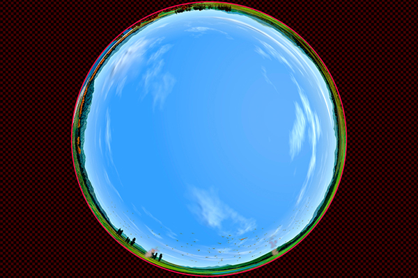 Countryside dragonfly is flying