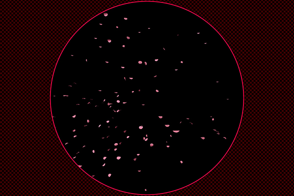 Cherry blossoms fluttering type1