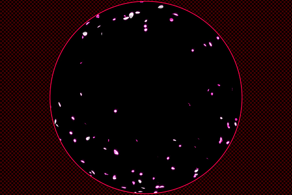 Petals fluttering slowly