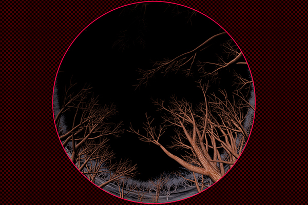 Pass through the trees Fuyugare