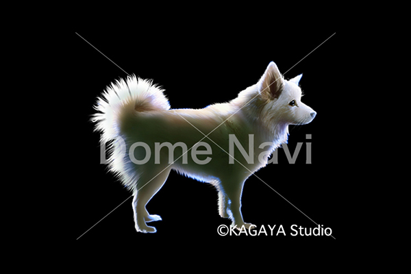 こいぬ座KAGAYA星座絵