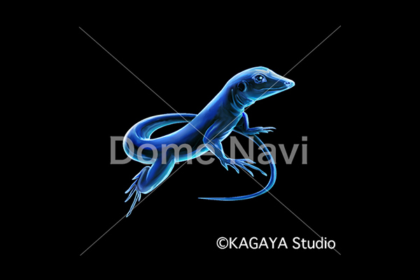 とかげ座KAGAYA星座絵