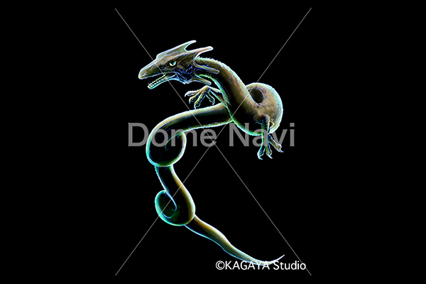 りゅう座KAGAYA星座絵