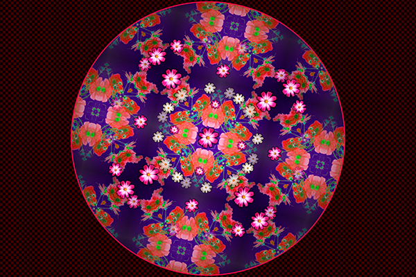 コスモスの万華鏡