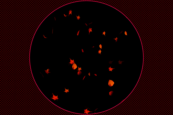 舞い散るカエデ