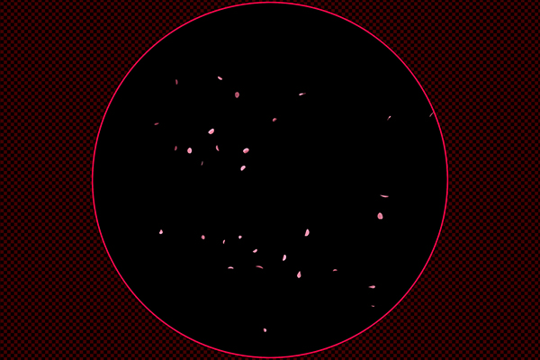 舞い散る桜 type2