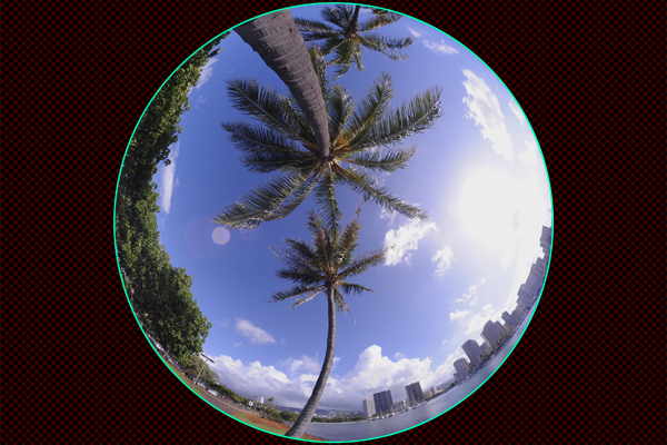 アラモアナ公園