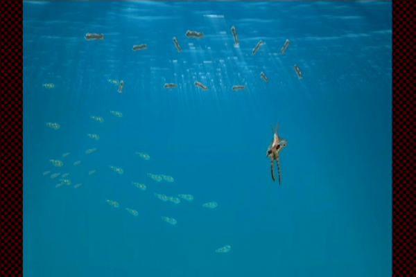 原始の海の生命