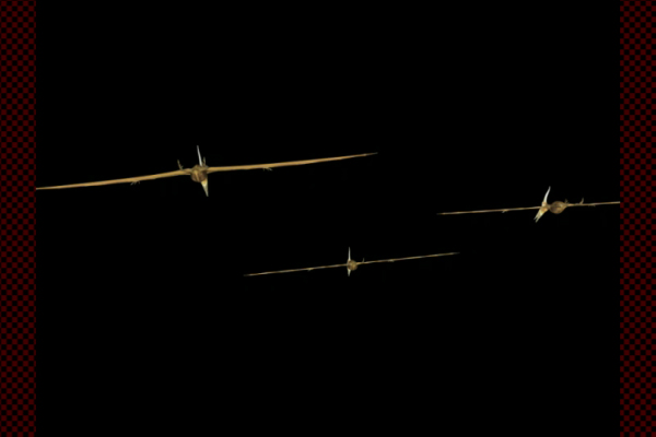 プテラノドン type1