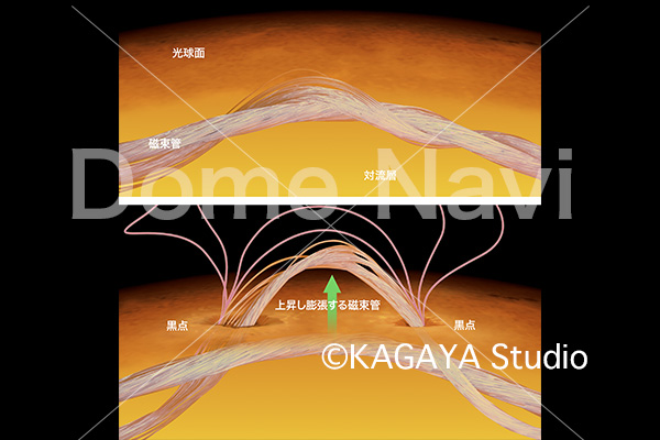 太陽黒点構造説明図
