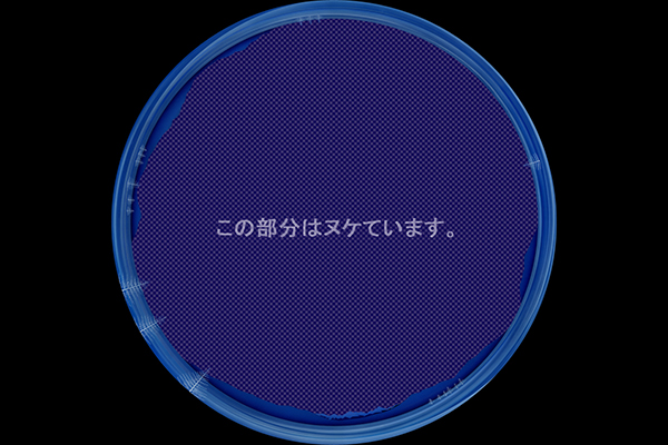 凍りついた雪原